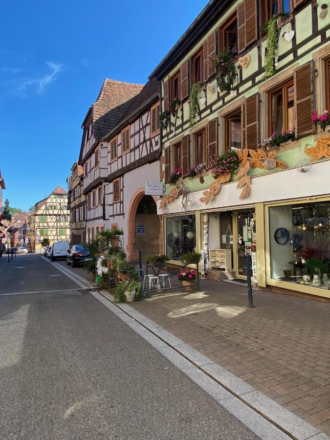 Tiers Lieu 59 Grand Rue Apartamento Bouxwiller  Exterior foto